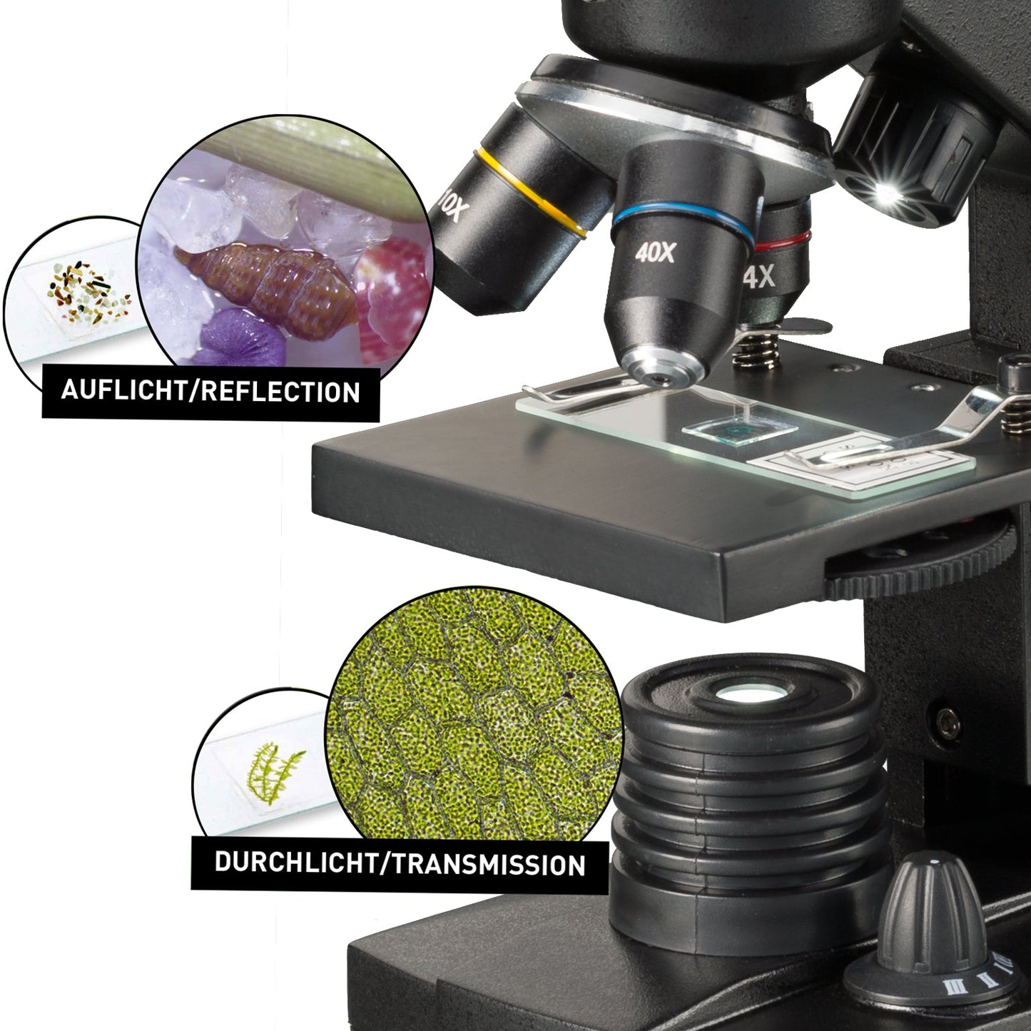 Microscope avec Support pour Smartphone 40x-1280x