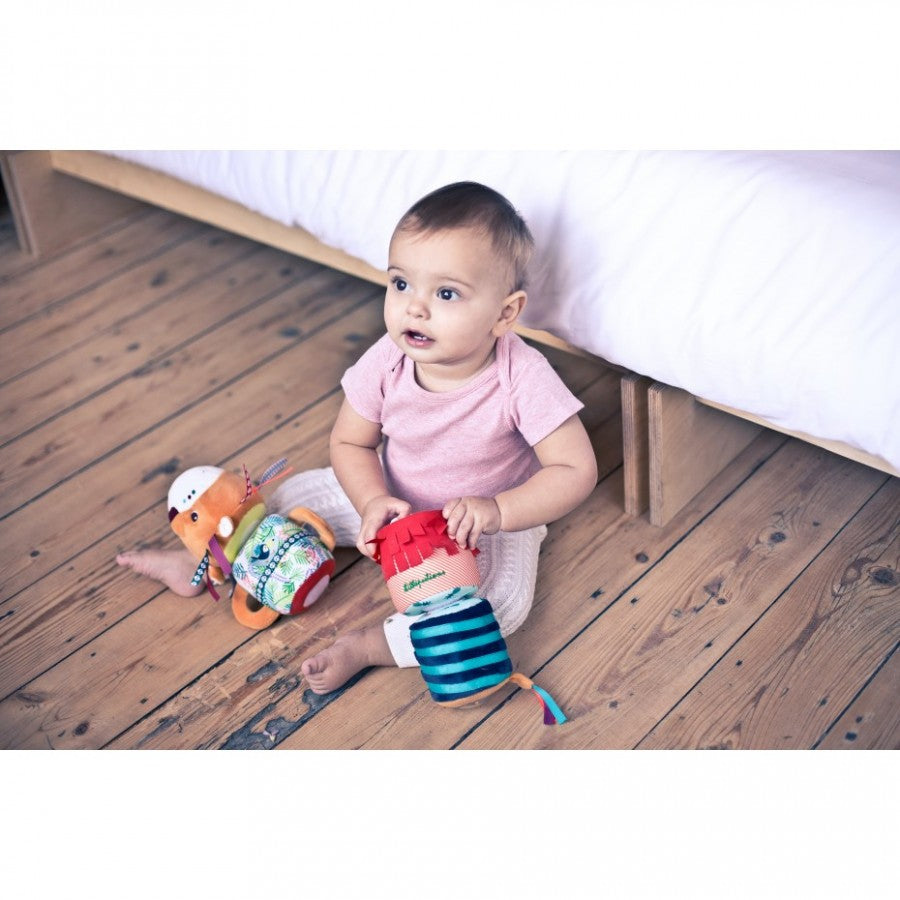 Lote de 2 Rouleaus sonore Jack