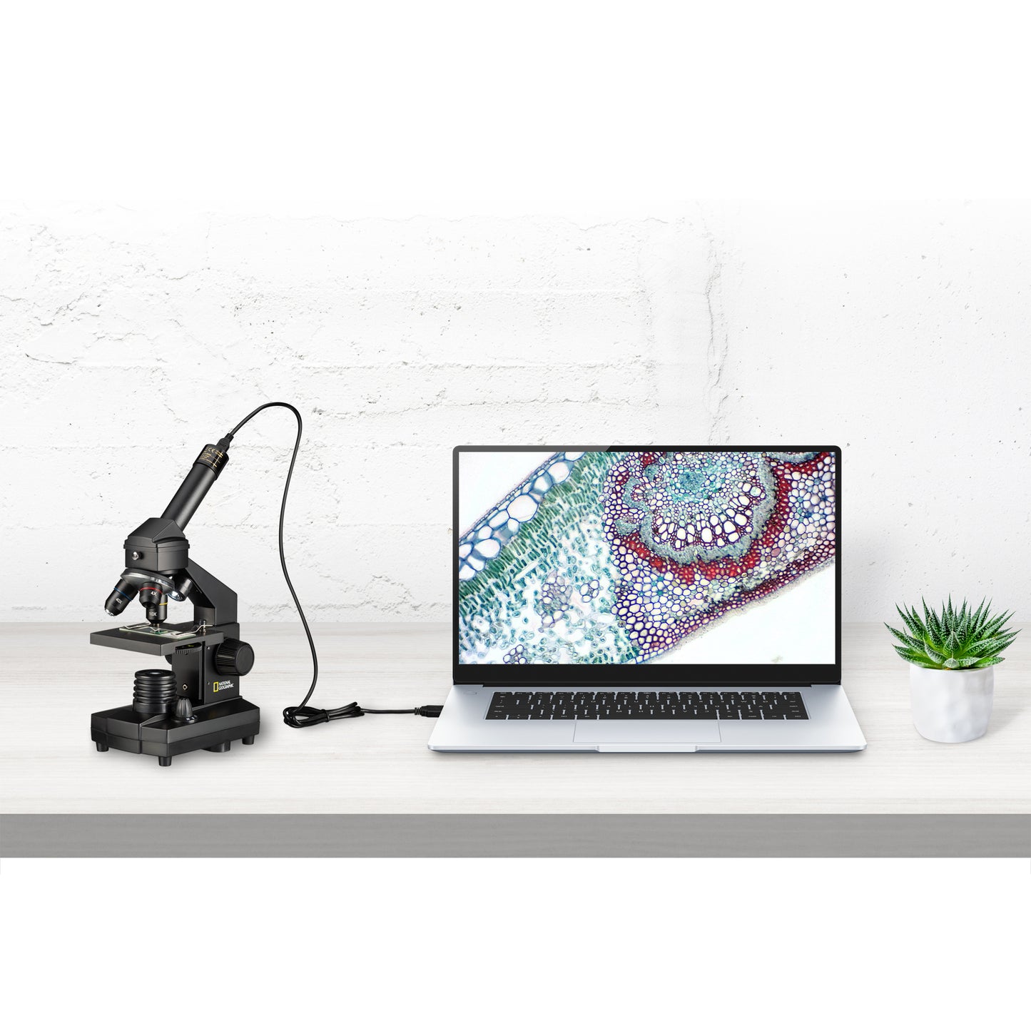 Kit microscope 40x 1024x USB (étui inclus)