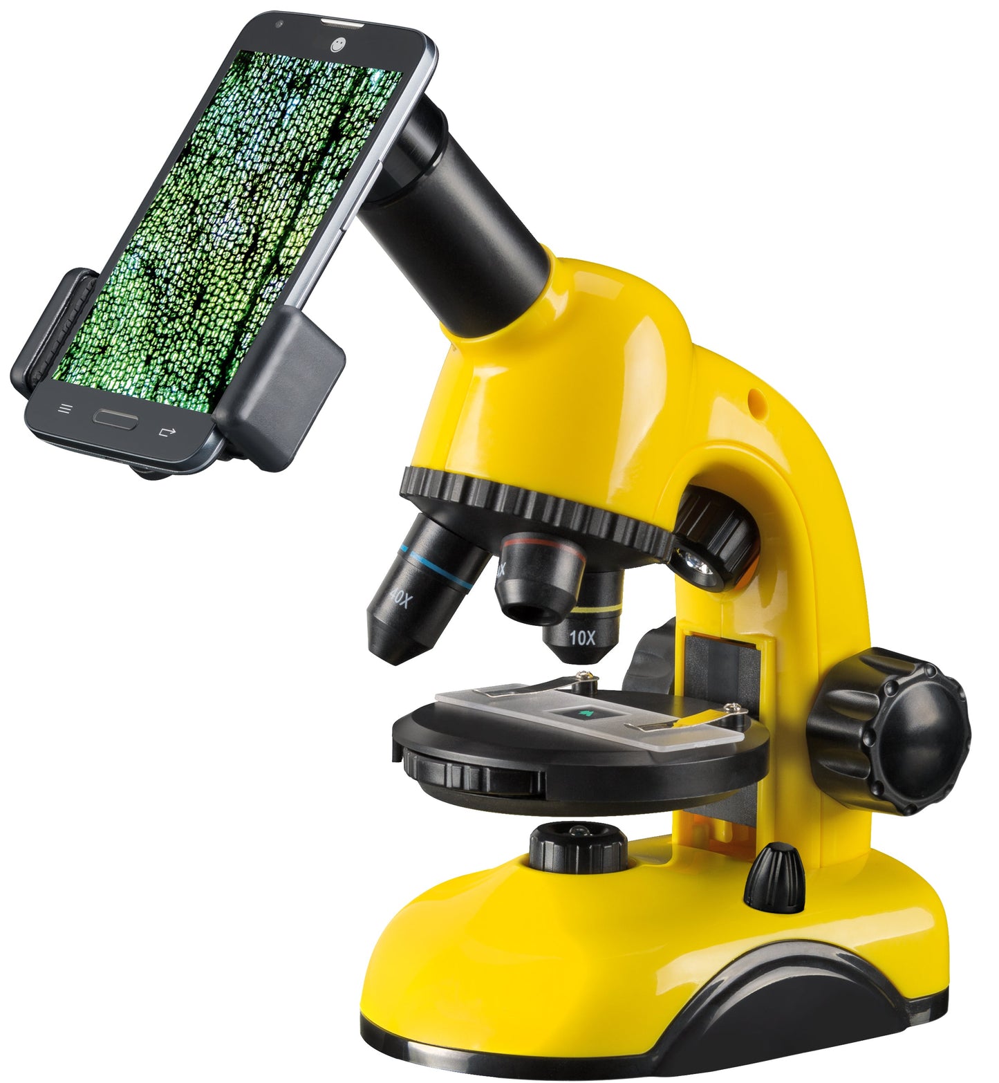 Microscope 40x 800x