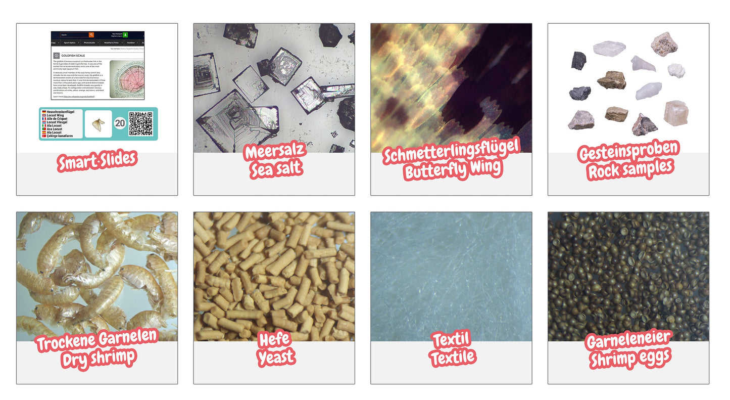 Ensemble d'expériences DLX