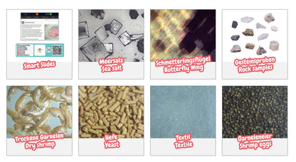 Ensemble d'expériences DLX