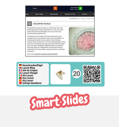 Ensemble d'expériences DLX