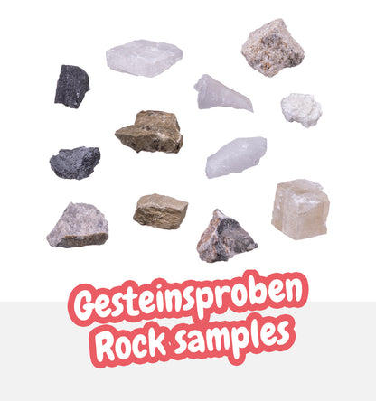 Ensemble d'expériences DLX