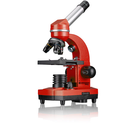 Microscope étudiant Biolux SEL - vert