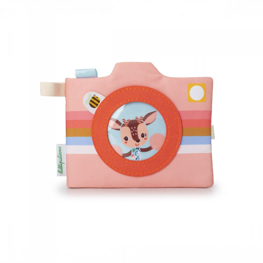 Lot de 3 albums photo Stella