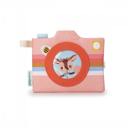 Lot de 3 albums photo Stella