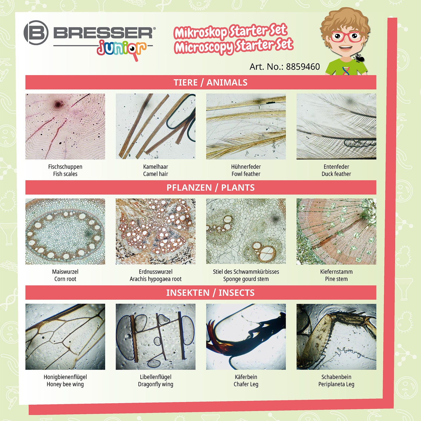 Kit d'expérimentation 24 préparation pour microscopie