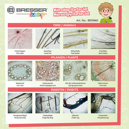 Kit d'expérimentation 24 préparation pour microscopie