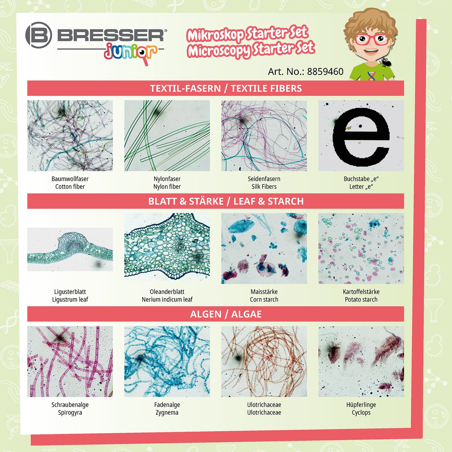 Kit d'expérimentation 24 préparation pour microscopie