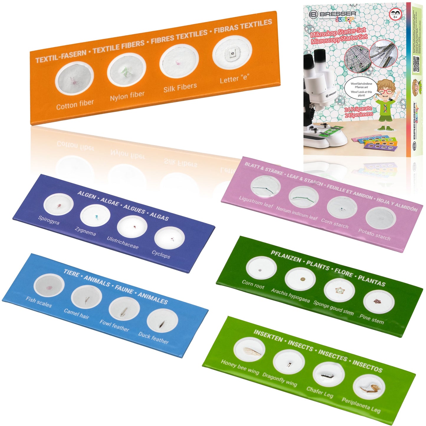 Kit d'expérimentation 24 préparation pour microscopie