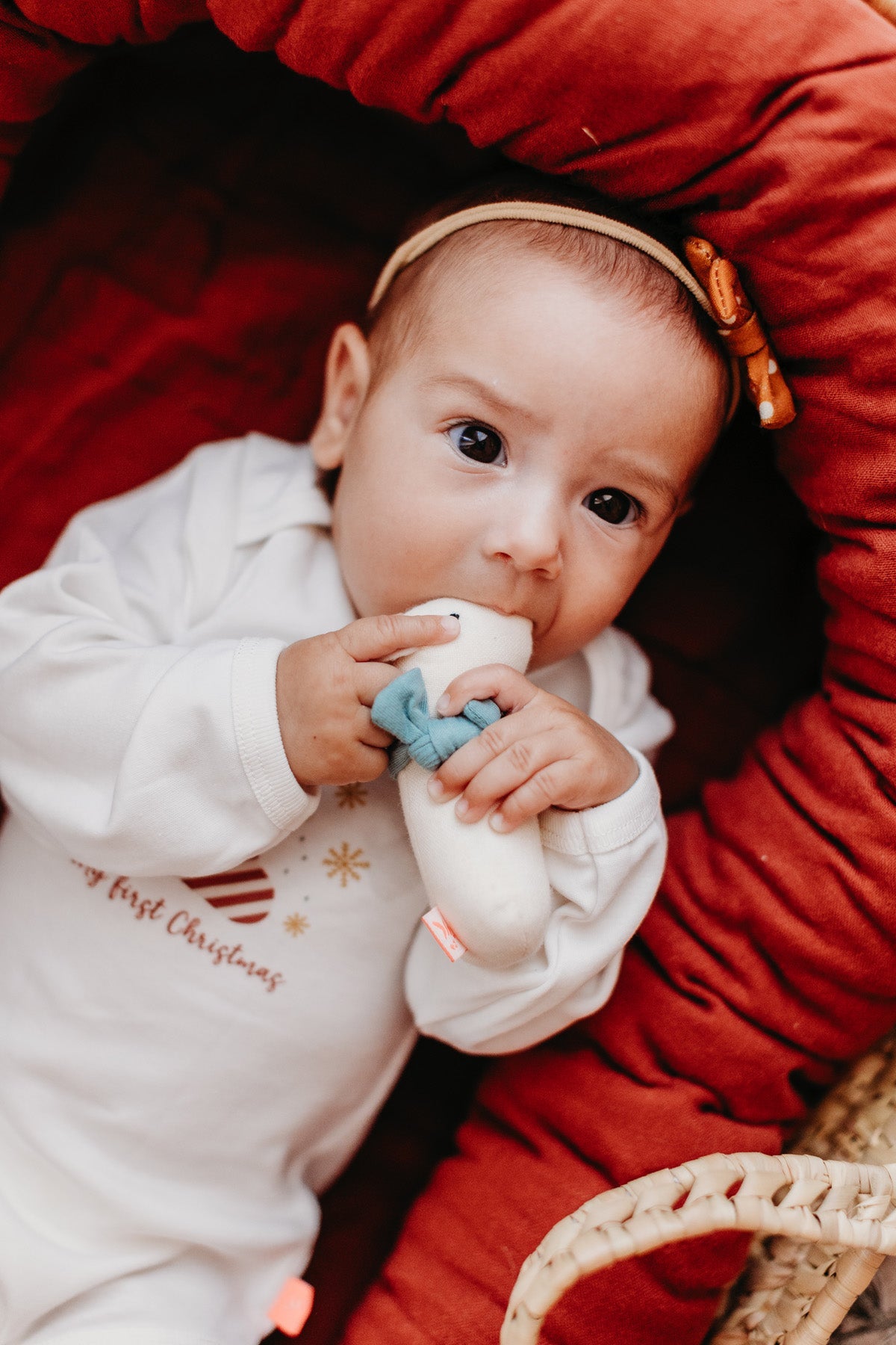 Lot de 8 Mini Jouets de saisie Ours Polaire