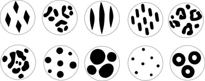 Boîte créative, Pelages à tamponner