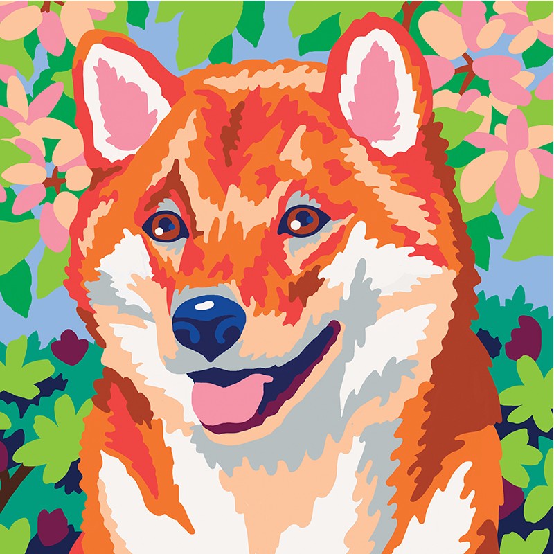 Colorizzy - Panda roux - Shiba