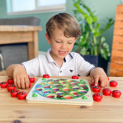 Jeu de mémoire avec coccinelles et 14 modèles de jeu en bois