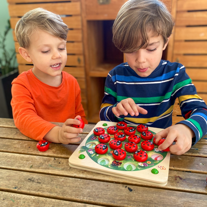 Jeu de mémoire avec coccinelles et 14 modèles de jeu