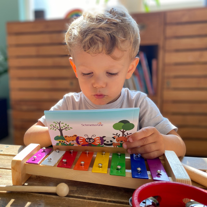 - Set d'instruments de musique 16 pièces par :