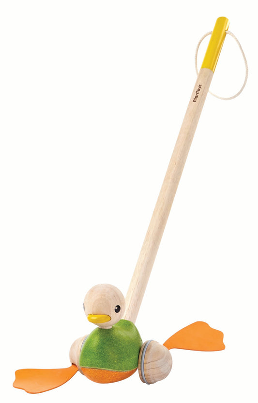 Canard à pousser en bois