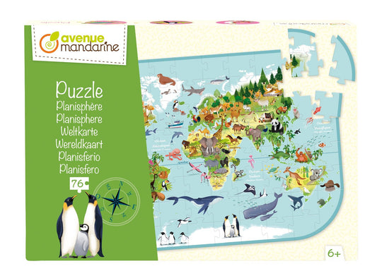 Puzzle éducatif, Planisphère