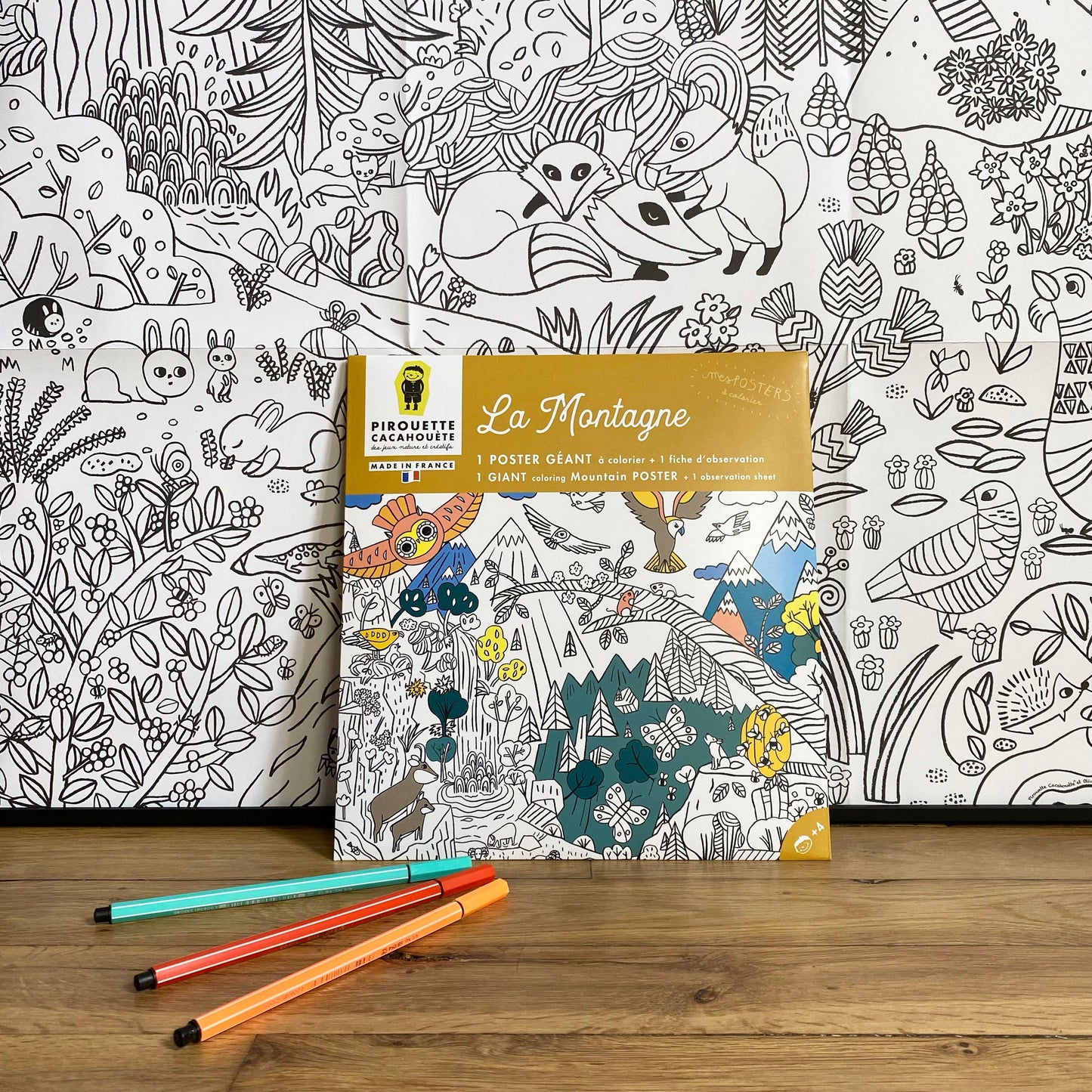 mon POSTER "la Montagne"