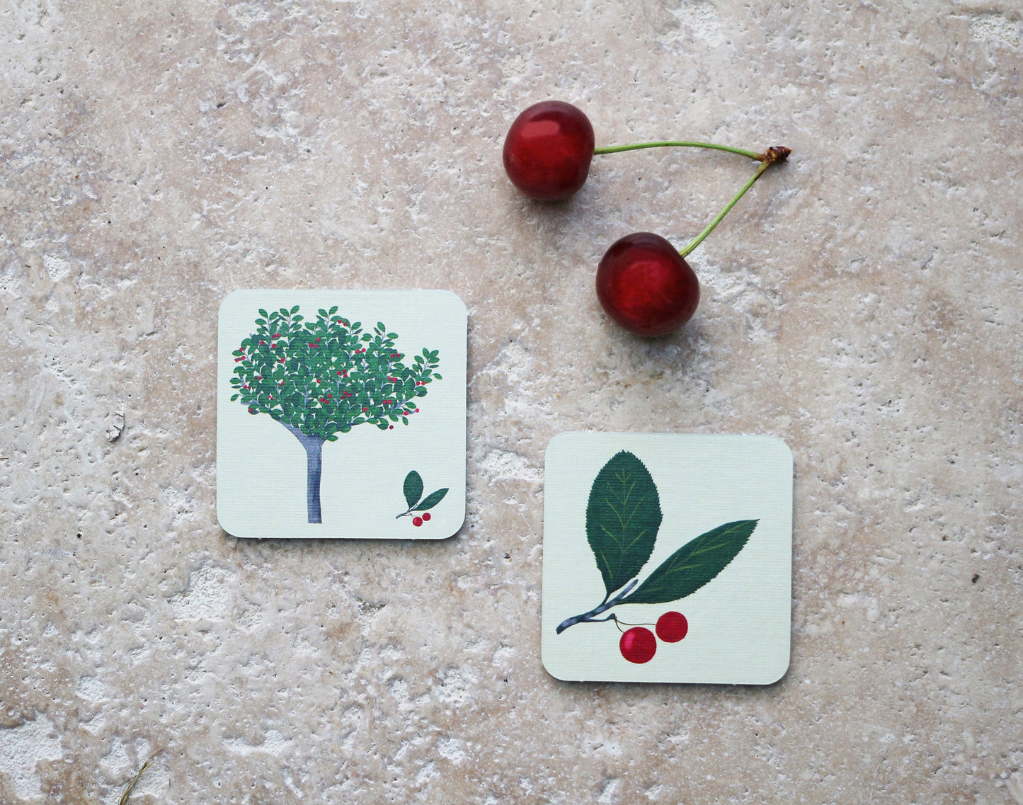 mes MÉMOS RIGOLOS ARBRES