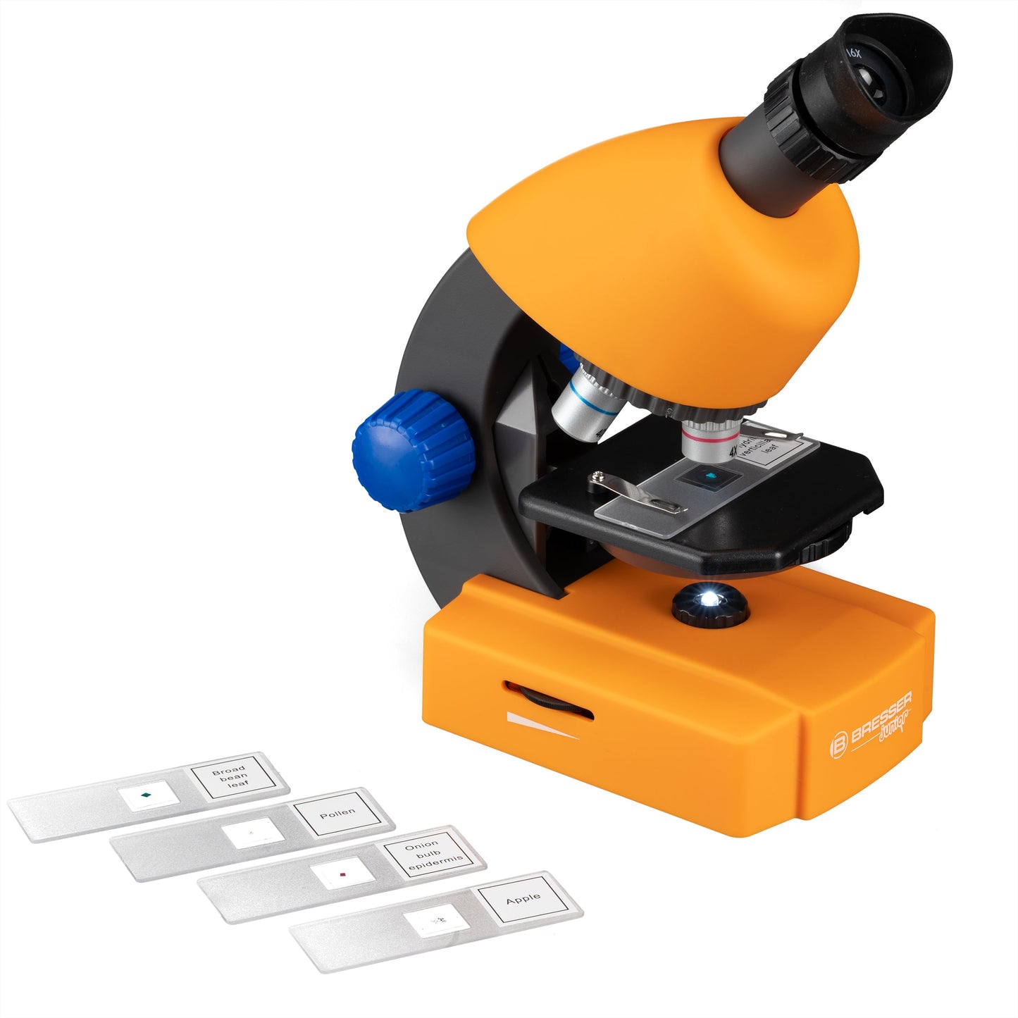 Microscope + étui rigide et accessoires