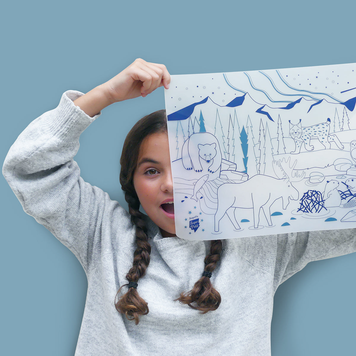 set à colorier La foret boréale