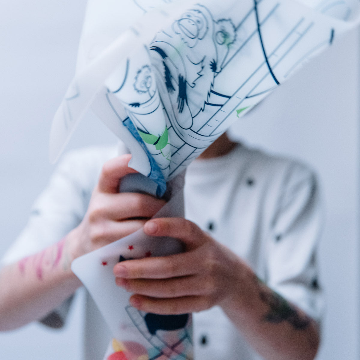 set à colorier La foret boréale